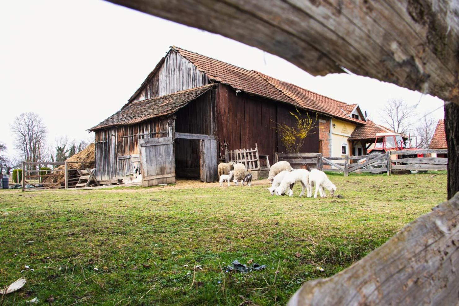 Country House Ivancan Molve Eksteriør bilde